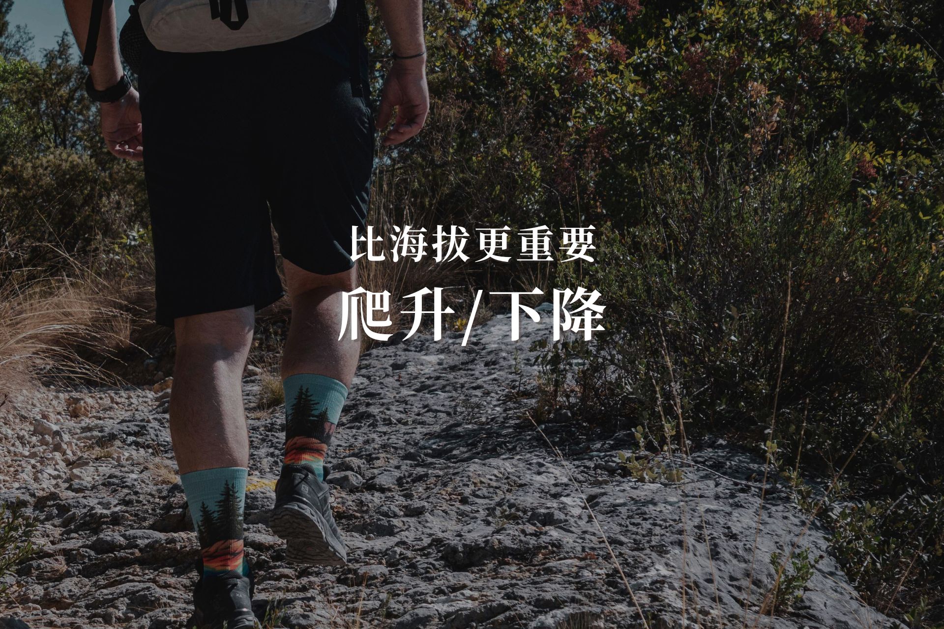 爬升_下降高度